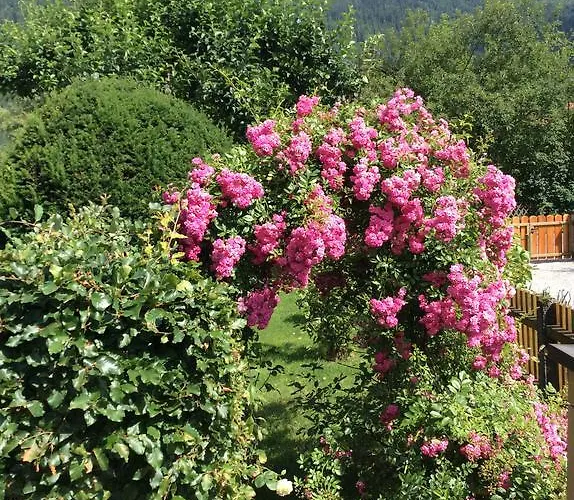 Bergblick Apartment Garmisch-Partenkirchen